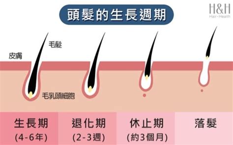 孕婦頭髮|懷孕掉髮受激素影響！教你7招保養小撇步預防落髮